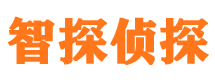 五指山外遇出轨调查取证